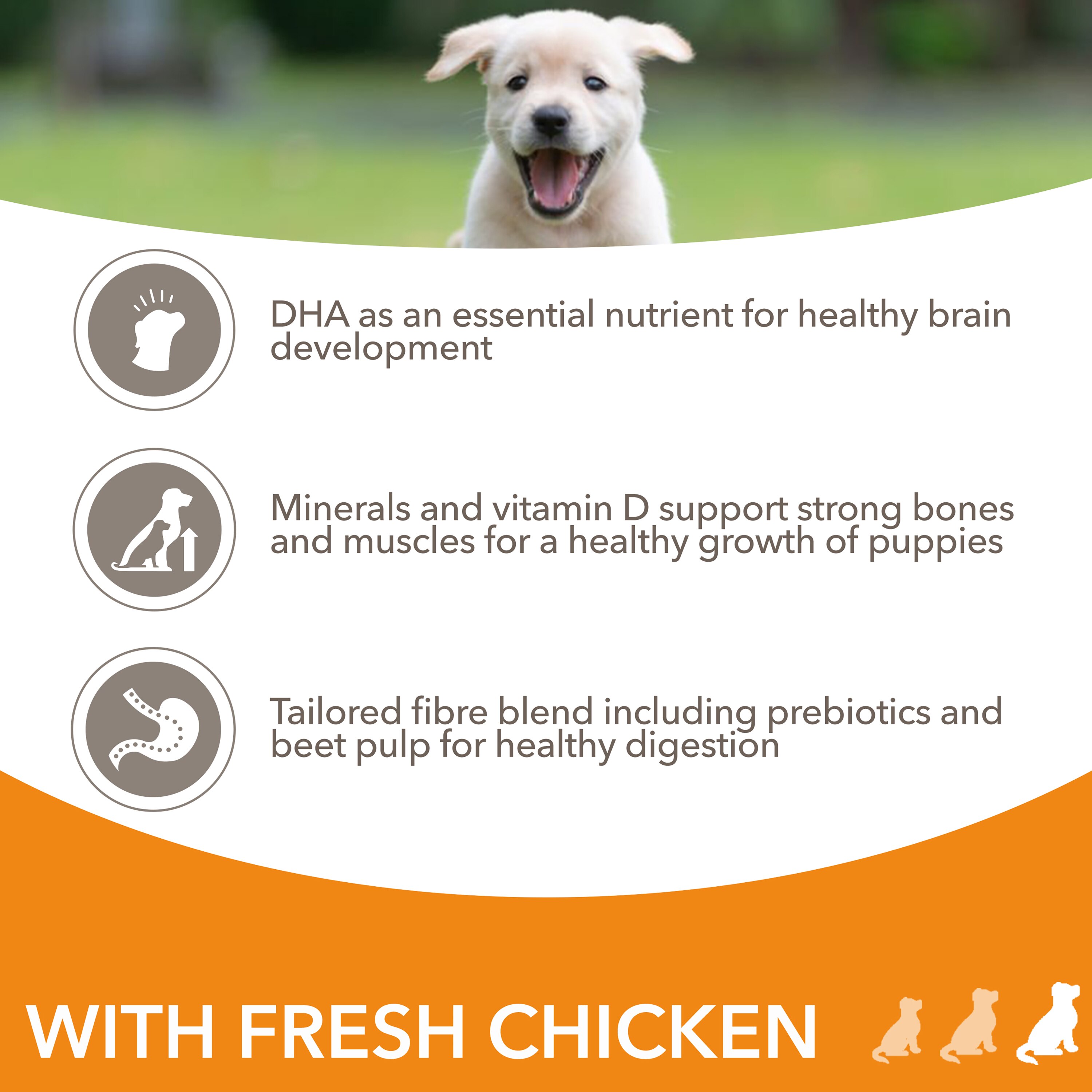 Iams puppy food sales 12kg